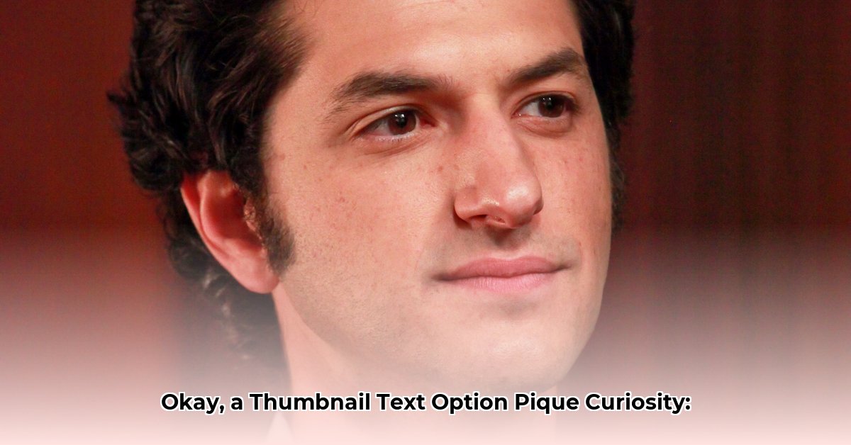 ben-schwartz-net-worth